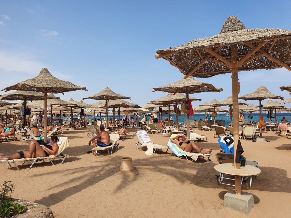 Pool Jaz Makadi Oasis Resort