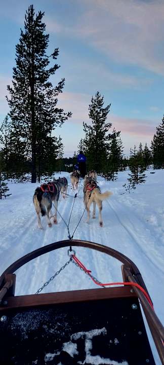 Sport & Freizeit Star Arctic Hotel