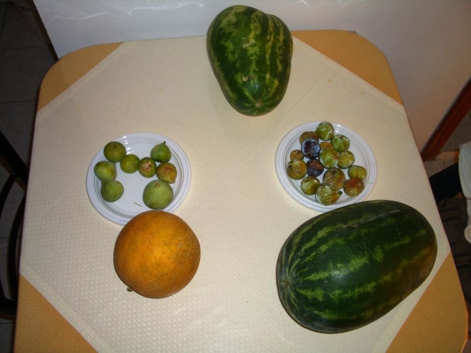 Geschenke der Familie Arsinoi Studios