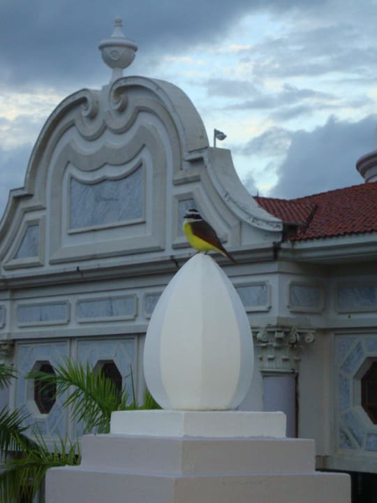 Schöner Besuch auf dem Balkon Hotel Riu Palace Riviera Maya