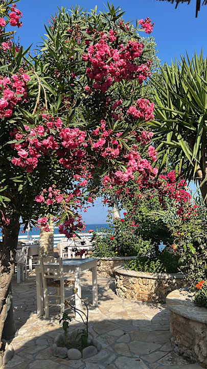 Gartenanlage Porto Koukla Beach
