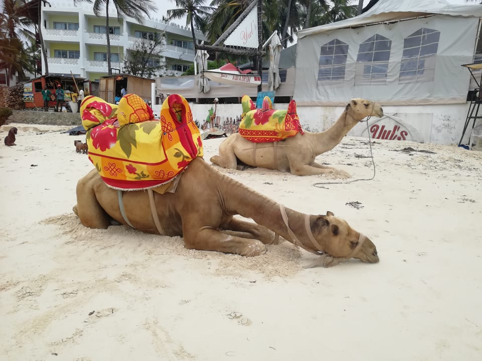 Strand Hotel Traveller's Club