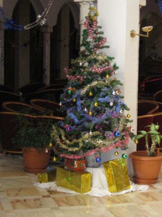 X-Mas Baum Hotel Riviera