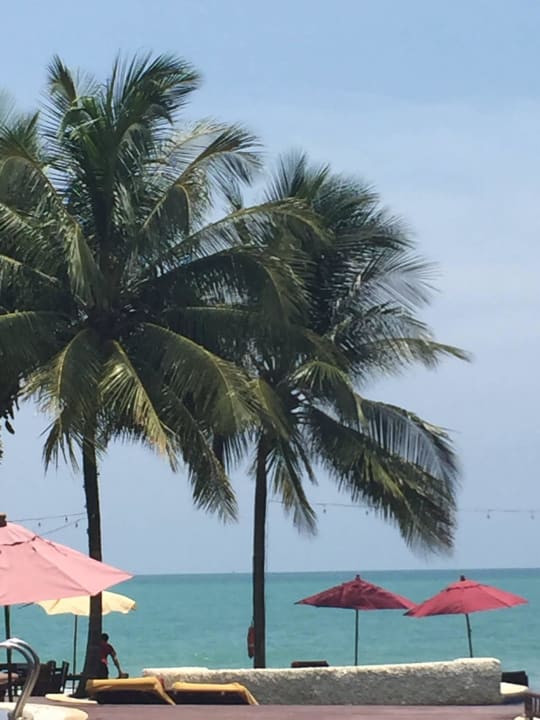Wenn das kein Ausblick ist! Khaolak Laguna Resort