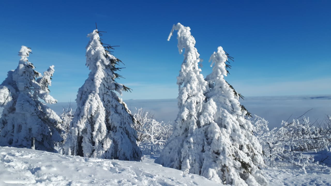 Ausblick AHORN Hotel Am Fichtelberg