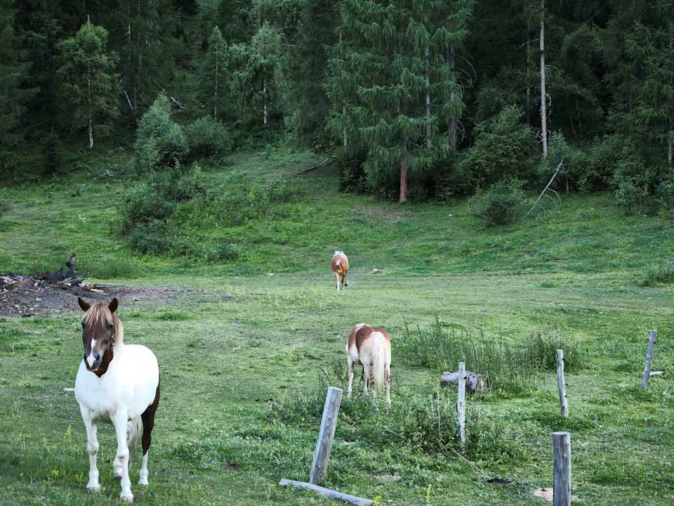 Sport & Freizeit Ferienhaus Bergsee