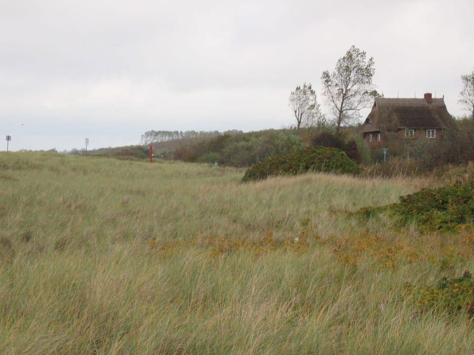 Landschaft die beruhigt Hotel Haus am Meer
