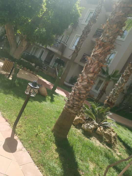 Gartenanlage Club Dizalya