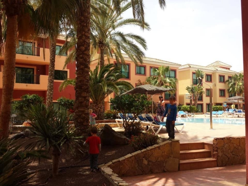 Pool BLUESEA Aloe Corralejo