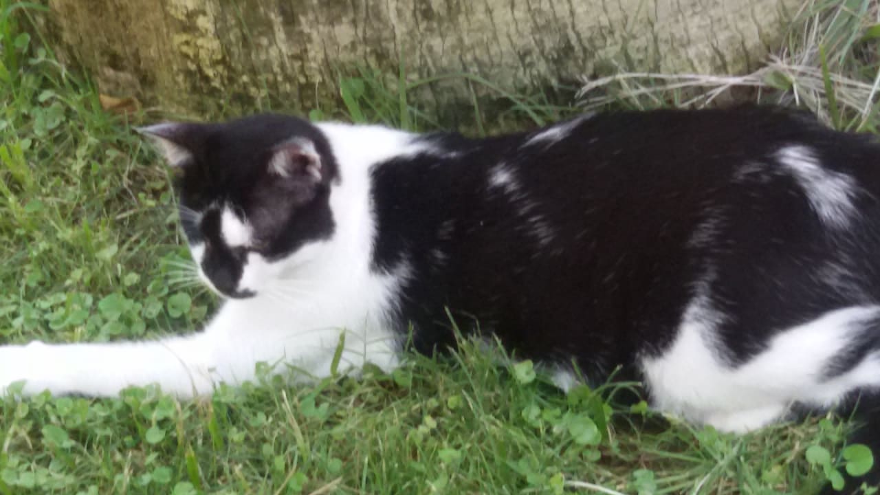 Sonstiges Hotel Gardenia Beach