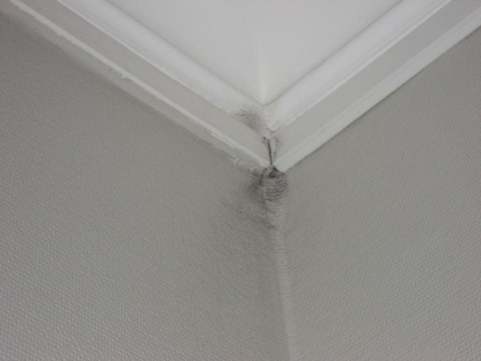 Ich weises nicht Best Western Hotel Bentleys