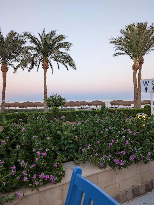 Gastro Sentido Caribbean World Soma Bay