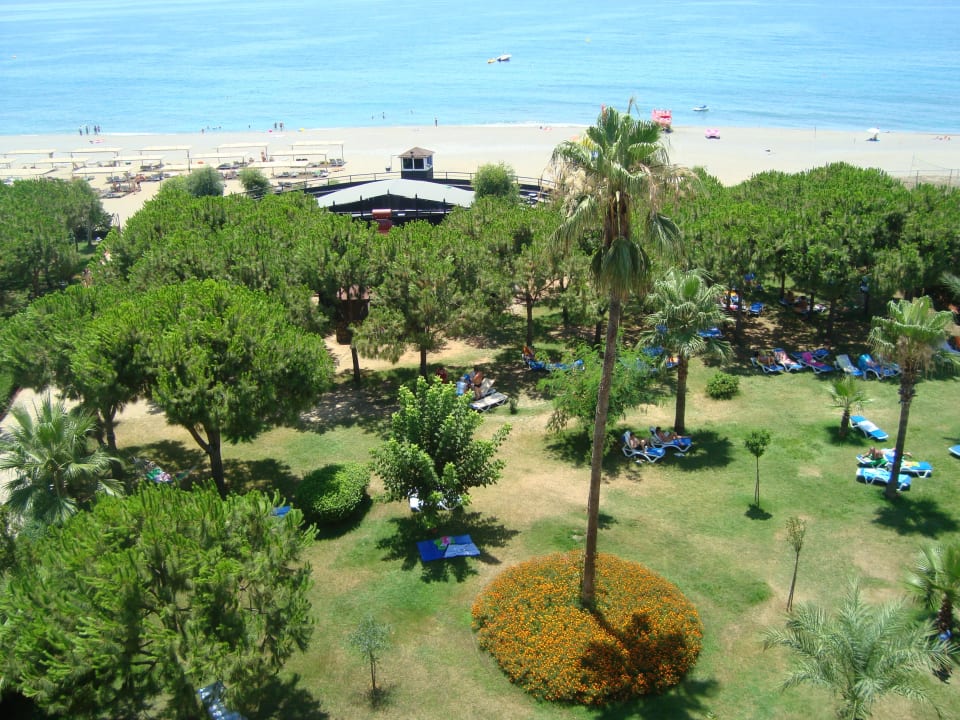 Вид из номера Club Turtas Beach Hotel