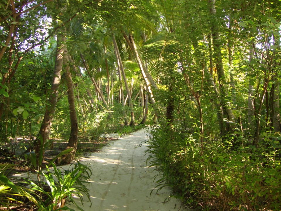 Wege auf der Insel NH Collection Maldives Reethi Resort