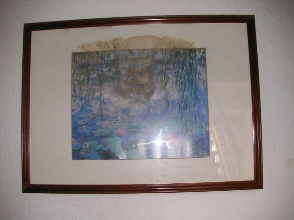 sichtbare Schimmelbildung auf Hotelflur FLOR los Almendros Hotel