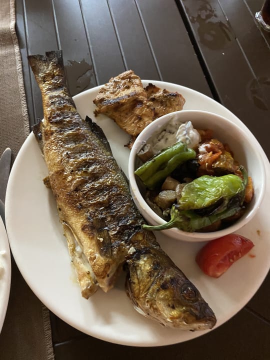 Gastro Dizalya Palm Garden