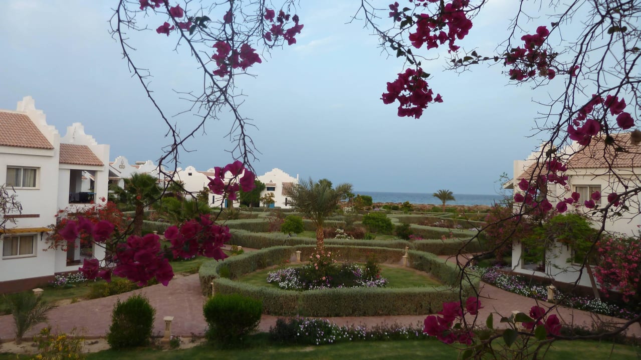 Blick aus dem Zimmer Lahami Bay Beach Resort