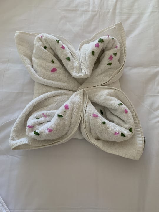 Zimmer Parrotel Beach Resort