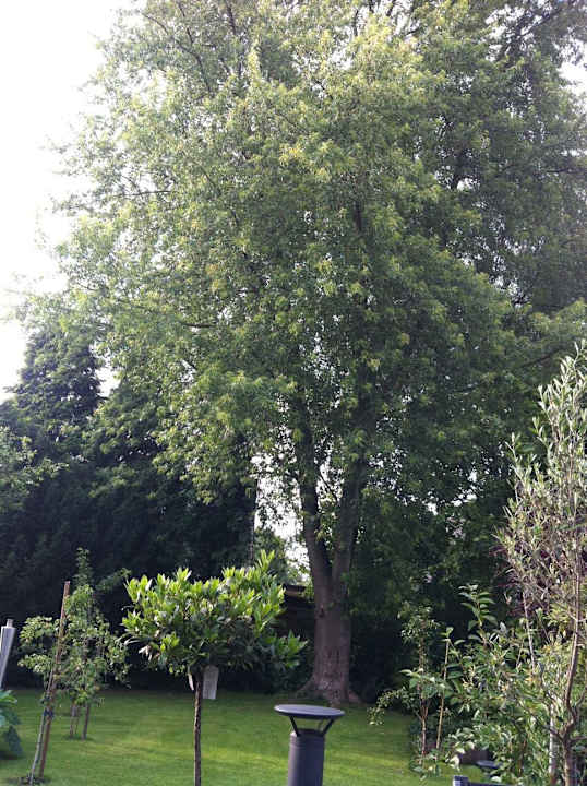 BEST WESTERN Hotel Leverkusen Leoso Hotel Leverkusen