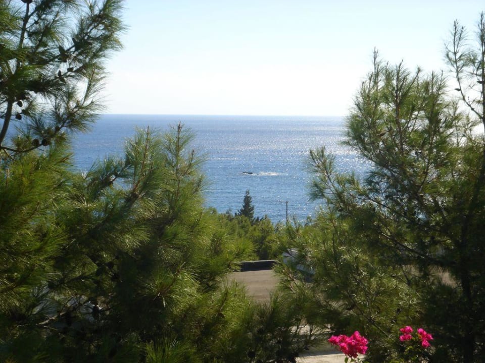 Zimmer-Astra 603 alltoura Club Hotel Porto Angeli Beach Resort