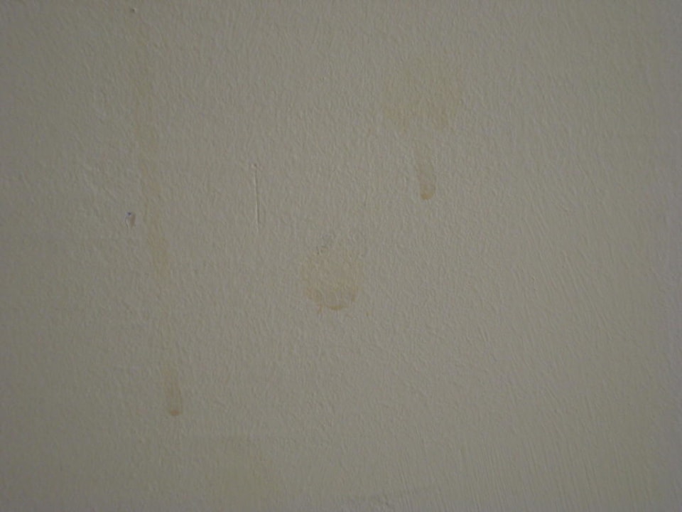 Zimmerwand Hotel Hrizantema