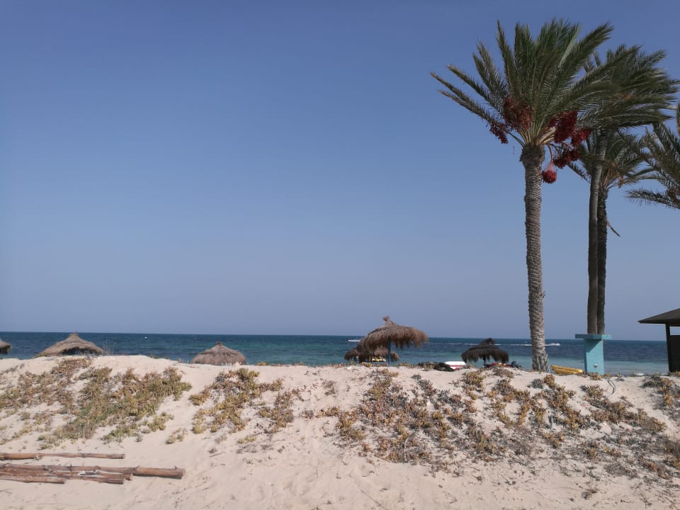 Strand Hotel El Mouradi Djerba Menzel