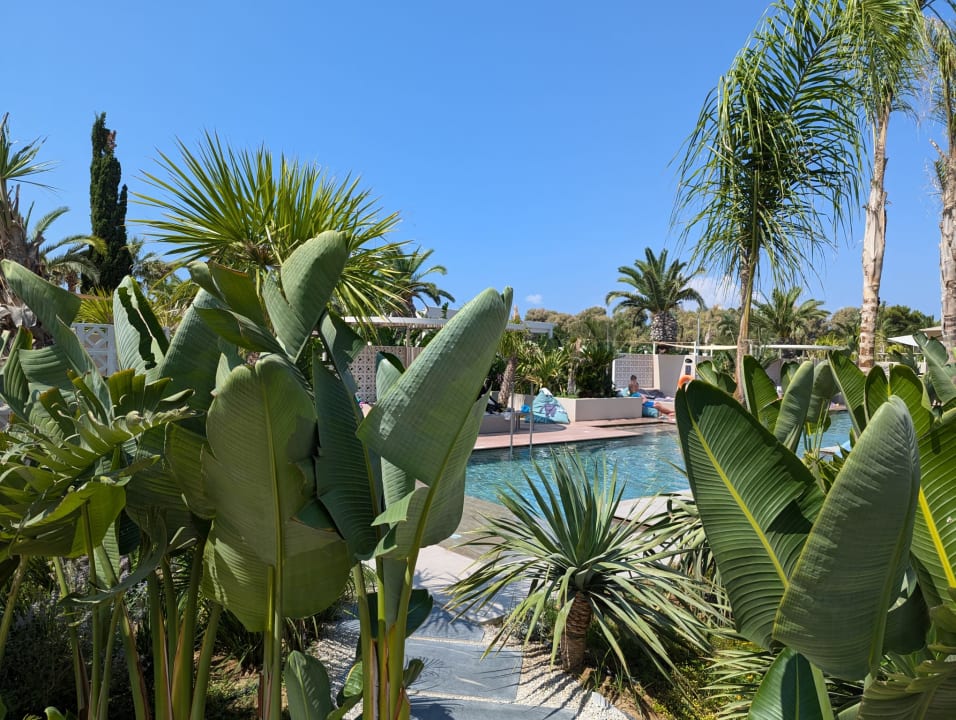 Gartenanlage Hotel Akti Coast Club Marmari Kos