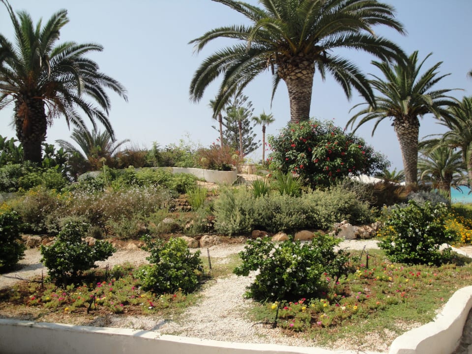 Garten Hotel Nissi Beach Resort