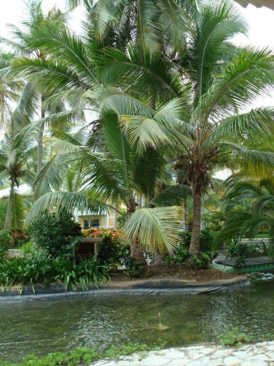 Gartenanlage Grand Palladium Grand Palladium Select Bávaro Resort & Spa