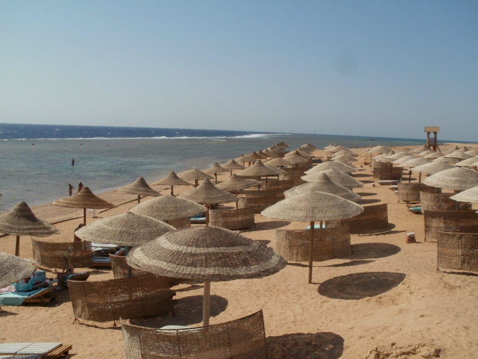 Sea Life Beach Charmillion Sea Life Resort