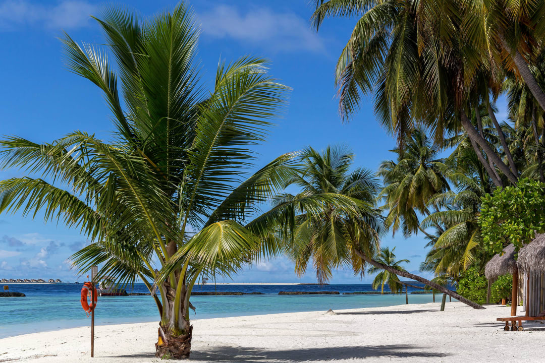 An der Ostseite Sun Siyam Vilu Reef