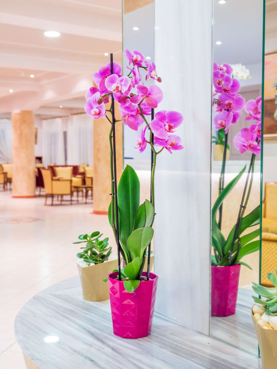 Lobby CNic Gemini Hotel