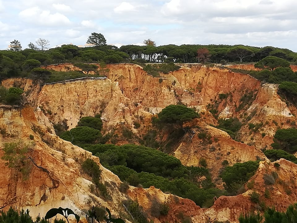 Ausblick PortoBay Falésia