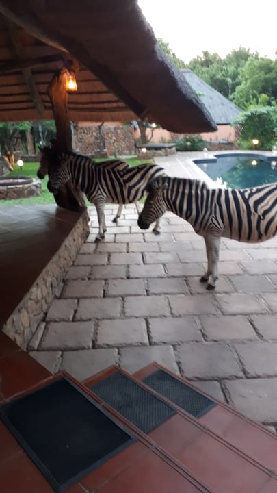 Gartenanlage Blyde River Canyon Lodge