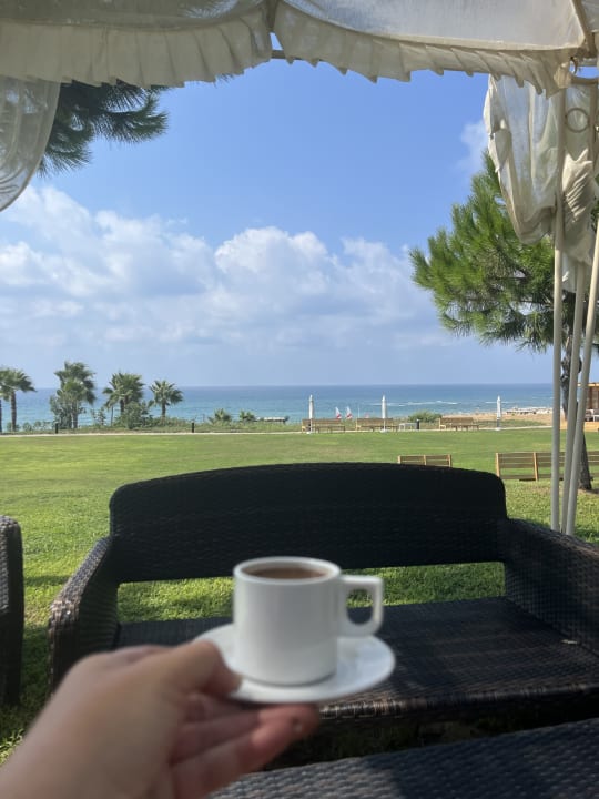 Ausblick TUI MAGIC LIFE Jacaranda