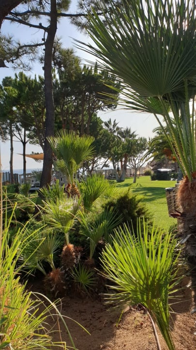 Gartenanlage PortoBay Blue Ocean