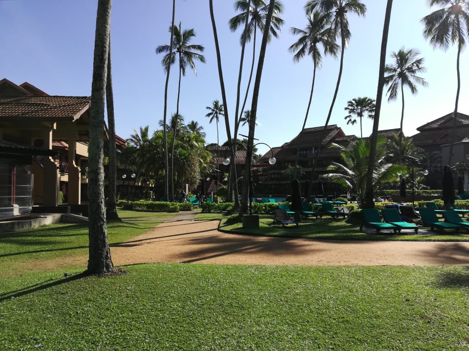 Gartenanlage Royal Palms Beach Hotel