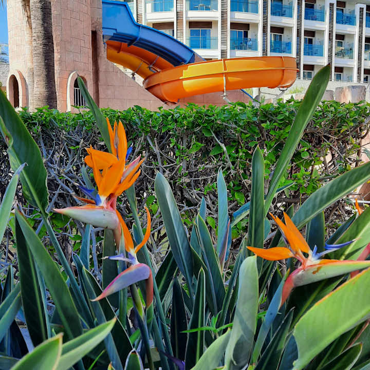 Gartenanlage Aydinbey Kings Palace & Spa