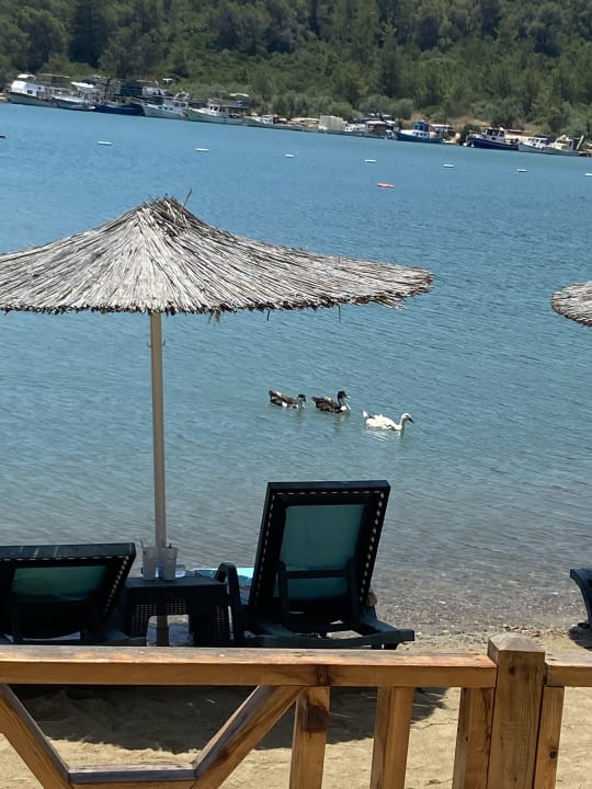 Ausblick Green Bay Resort & Spa