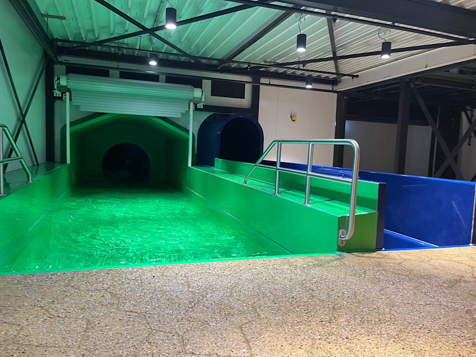 Pool Center Parcs De Kempervennen