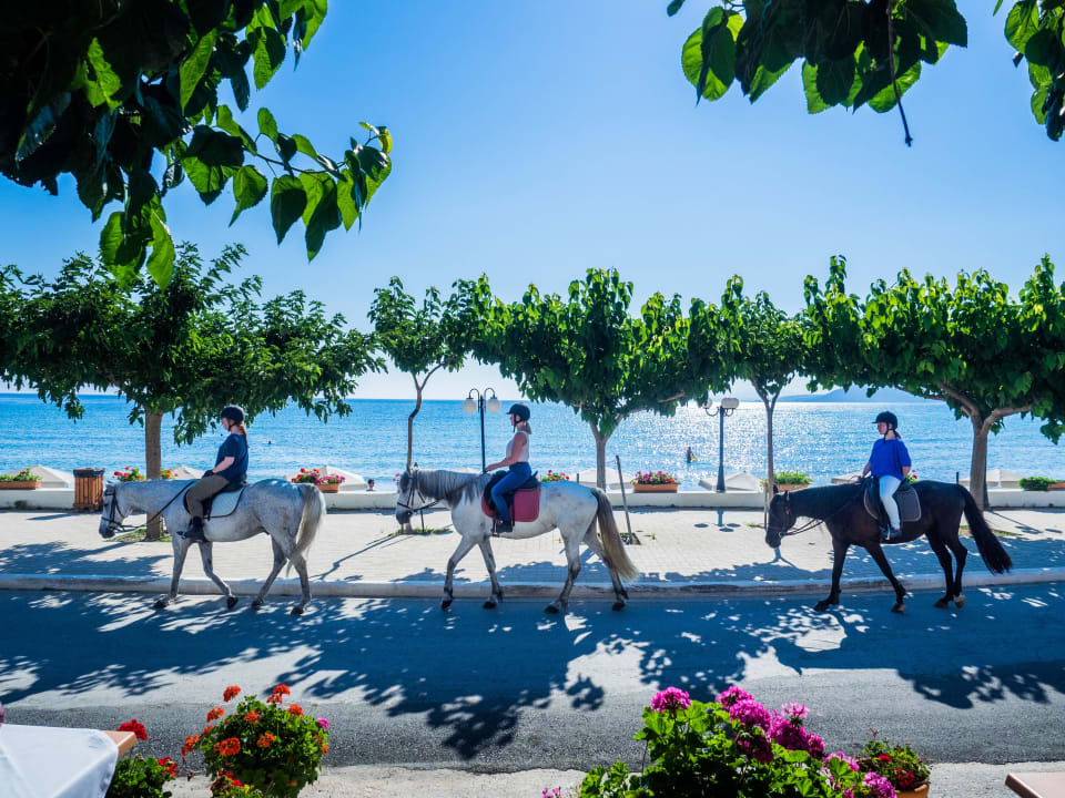 Unterhaltung Harmony Boutique Resort