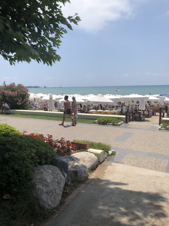 Strand Side Star Elegance