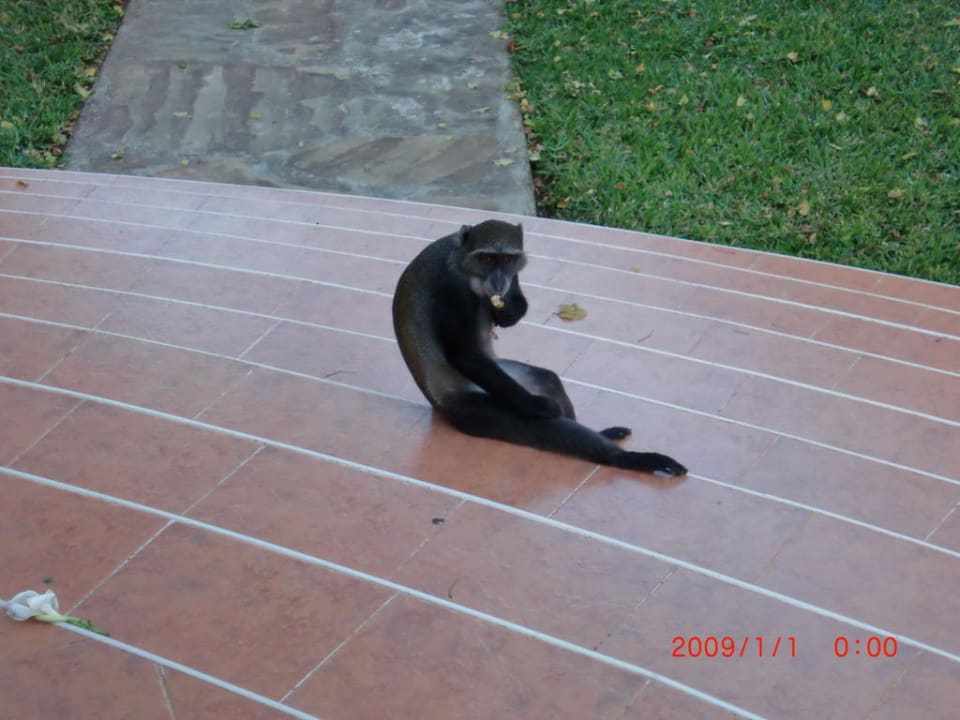 Besucher Neptune Village Beach Resort & Spa