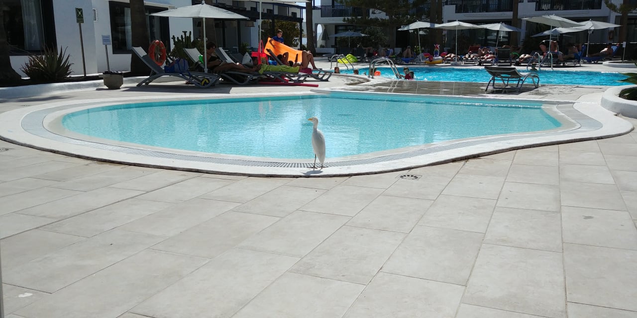 Pool Bungalows & Appartements Playamar