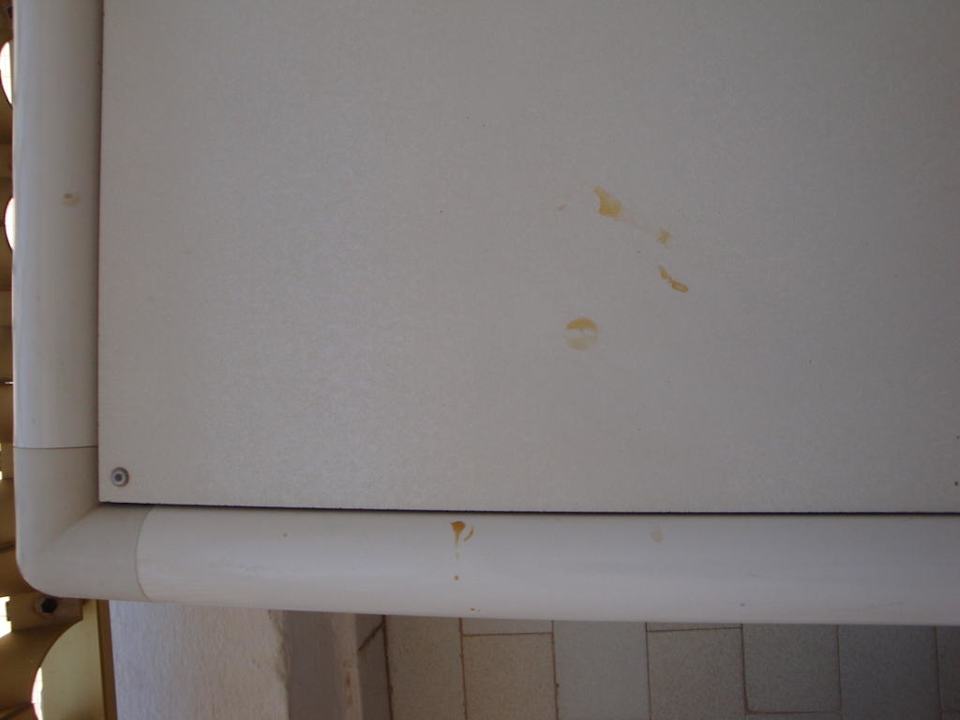 Balkon Hotel Amir Palace