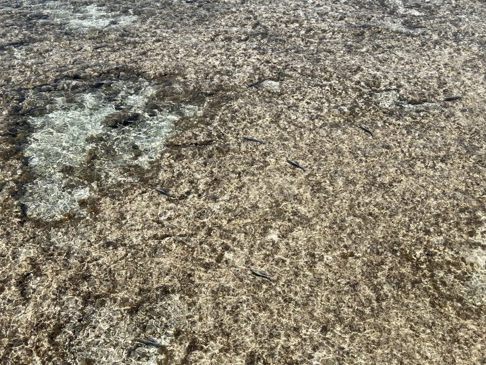 Strand Lazuli Hotel Marsa Alam