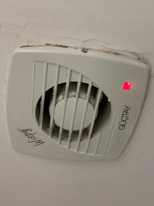 Zimmer Royal Atlantis Beach Hotel