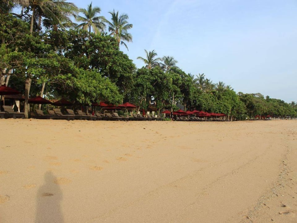 Blick auf die Liegen vom Laguna The Laguna A Luxury Collection Resort & Spa