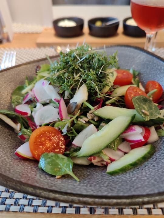 Gastro BollAnts Spa im Park