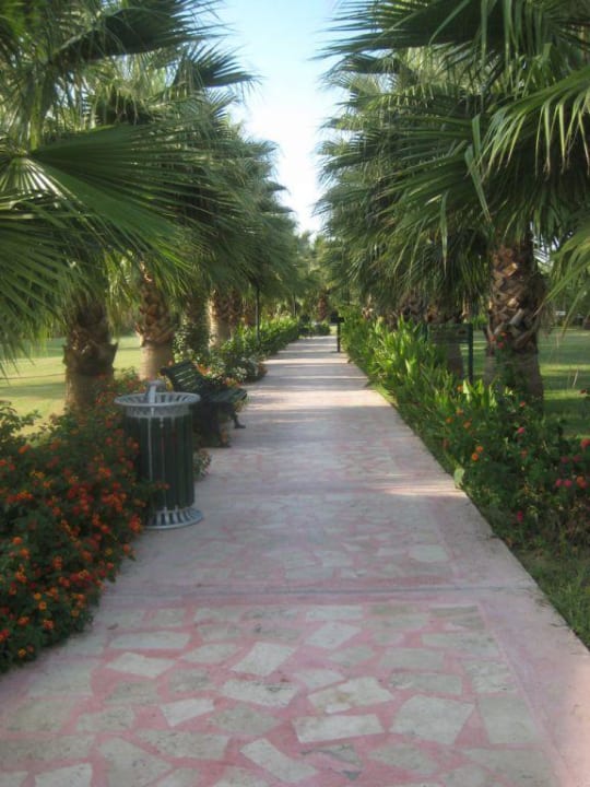 Der Weg zum Strand Royal Atlantis Beach Hotel